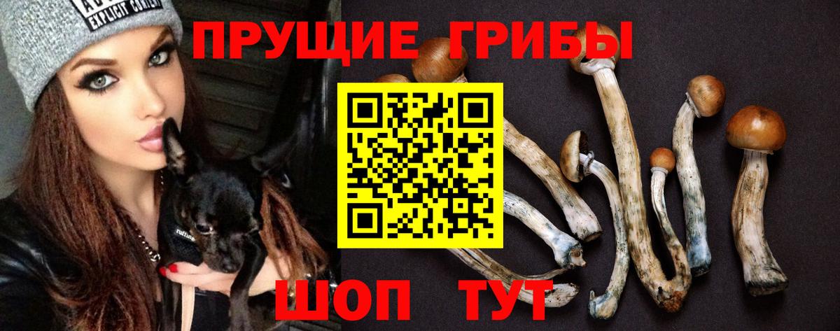 Кимовск  Псилоцибиновые грибы Magic Shrooms  Вход с VPN 